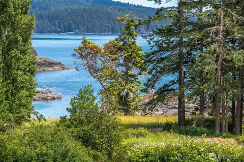 View/Area - 3388 Deer Harbor Rd, Orcas Island, WA 98243 photo 4 of 9