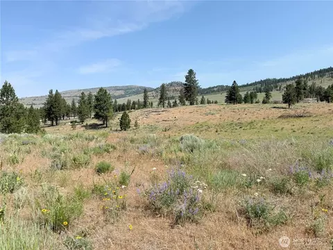 22 Dutch Anderson Rd, Omak, WA 98841