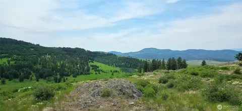 111 Tbd Fletcher Rd, Oroville, WA 98844