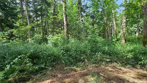 0 Xxxb Dove Dr, Camano Island, WA 98282