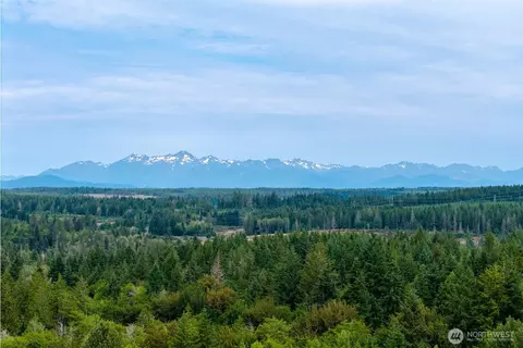 View/Area - 210 E Mossflower Ln, Grapeview, WA 98546 photo 1 of 7