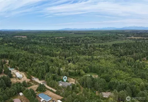 View/Area - 210 E Mossflower Ln, Grapeview, WA 98546 photo 5 of 7