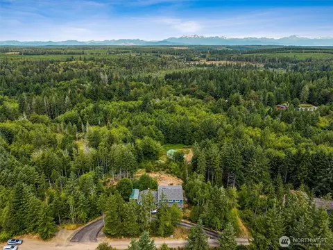 View/Area - 210 E Mossflower Ln, Grapeview, WA 98546 photo 3 of 7