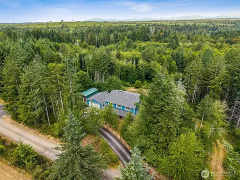 View/Area - 210 E Mossflower Ln, Grapeview, WA 98546 photo 2 of 7