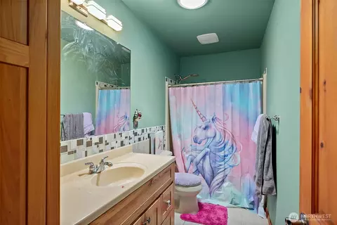 Bath - 33320 27th Ave E, Roy, WA 98580 photo 4 of 5