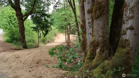 123 NE Tahuya River Rd, Belfair, WA 98528