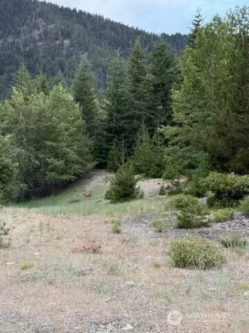 0 Nn Fowler Creek Rd, Cle Elum, WA 98922