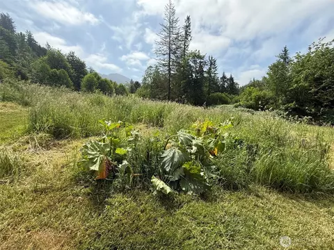 36508 312th Ave SE, Enumclaw, WA 98022 photo 9