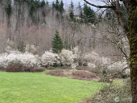 36508 312th Ave SE, Enumclaw, WA 98022 photo 19