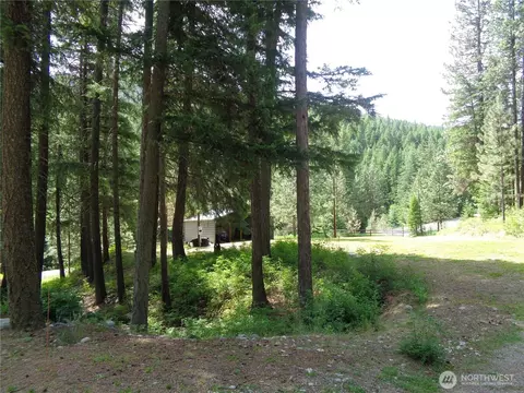Exterior - 270 W Fork Rd, Conconully, WA 98819 photo 18 of 18