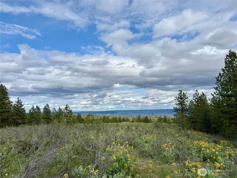 0 Nhn Watson Ln, Chelan, WA 98816