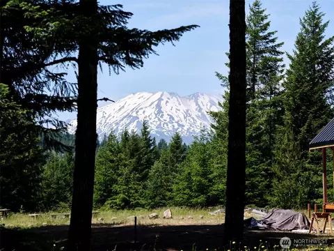 2 Phyllis Ann Block Ct, Cougar, WA 98616