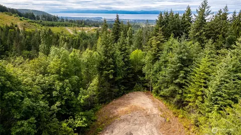 9999 S Old Mill Rd, Port Angeles, WA 98362