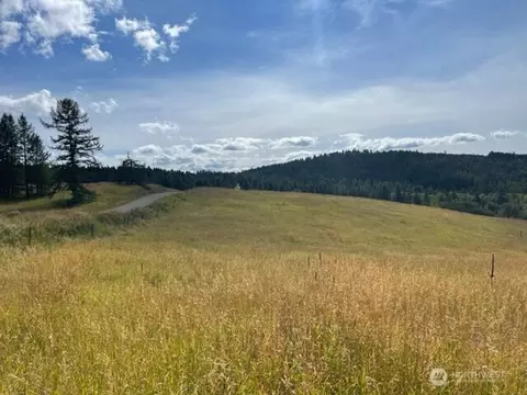 111 Tbd Davies Rd, Oroville, WA 98844