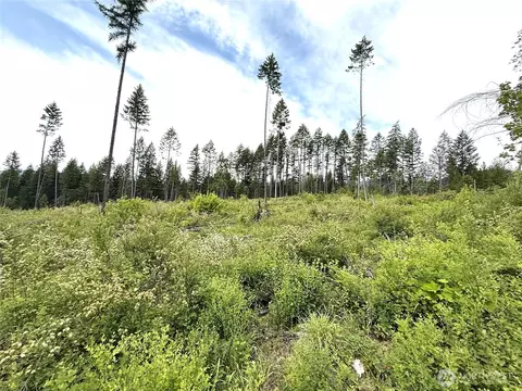 0 Lot 4 Rockabye Ln, Curlew, WA 99118