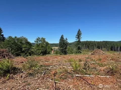 0 Lot 6 Nelson Rd, Winlock, WA 98596