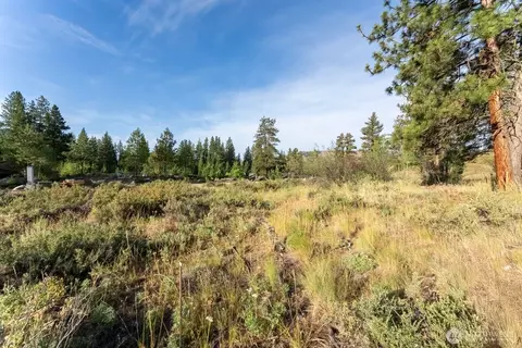 615 Pine Loop, Winthrop, WA 98862