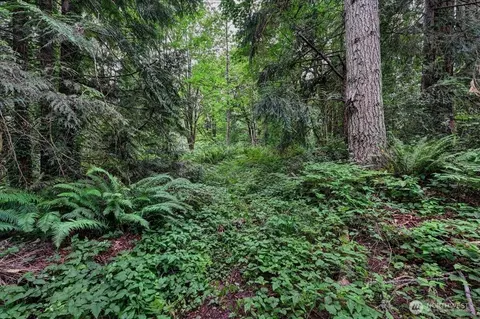 4133 W Ames Lake Dr NE, Redmond, WA 98053
