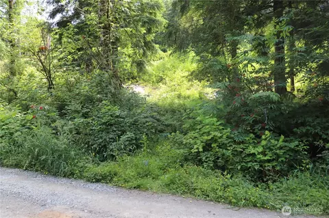 52902 S Riverside Rd, Gold Bar, WA 98251