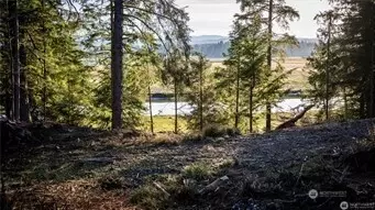 46 Lynn Point Ln, South Bend, WA 98586