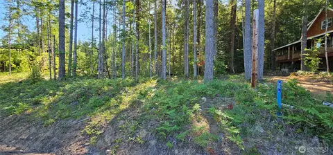 0 Terrace Way, Packwood, WA 98361