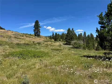 1 A Lundimo Meadows Rd, Curlew, WA 99118