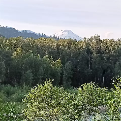 View/Area - 46699 Baker Loop Rd, Concrete, WA 98237 photo 6 of 6