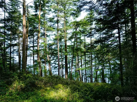 0 Lot 7 Pass View Rd, Decatur Island, WA 98221