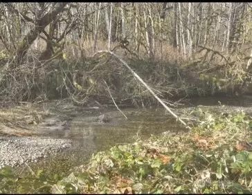 0 Sauk Rd, Rockport, WA 98237