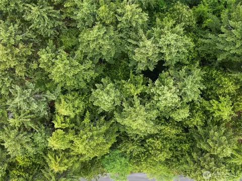 41 Pacific Ln #18, Pacific Beach, WA 98571