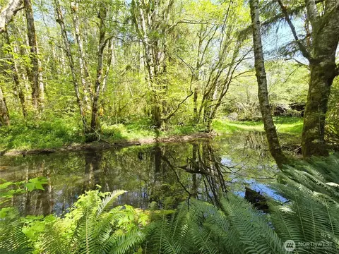 Other - Undisclosed, Forks, WA 98331 photo 5 of 8