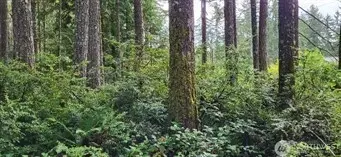 0 NW Holly Rd, Seabeck, WA 98380