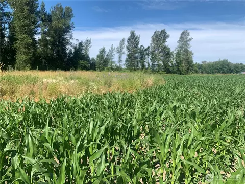 0 Massey Rd, Everson, WA 98247 photo 6