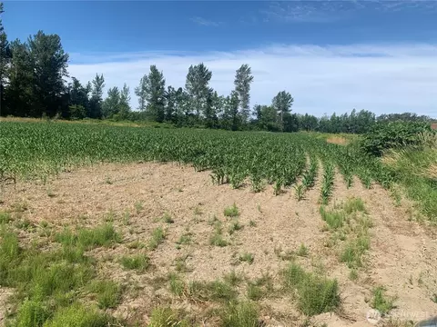 0 Massey Rd, Everson, WA 98247 photo 8