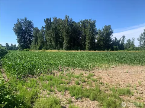 0 Massey Rd, Everson, WA 98247 photo 7