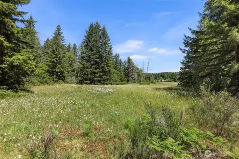 22030 Peissner Rd SE, Yelm, WA 98597