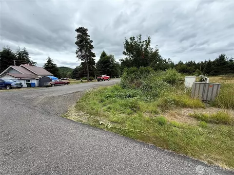 120 X Doty St, Doty, WA 98539 photo 2