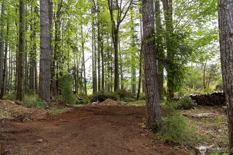 331 Rocky Brook Rd, Brinnon, WA 98320