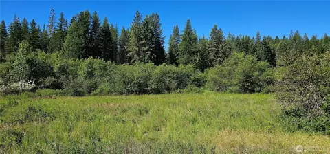 5 Nnn Olinger Rd, Springdale, WA 99173