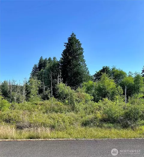 0 Basie Rd, Castle Rock, WA 98611