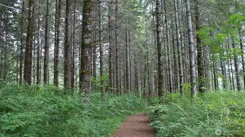 0 Lincoln Creek Rd, Centralia, WA 98531