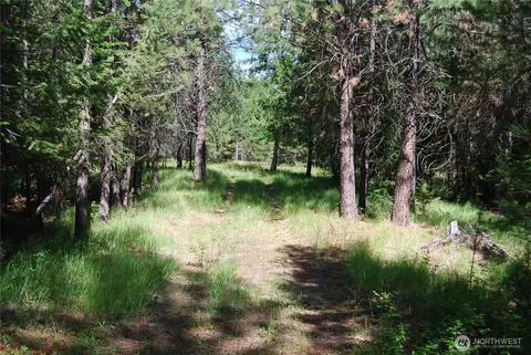 30 23 Wild Turkey, Riverside, WA 98849
