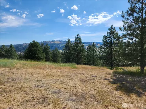 4 Meadow Lark Ln, Republic, WA 99166