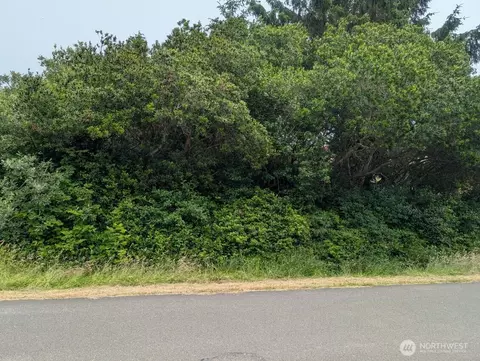 275 Queets St SW, Ocean Shores, WA 98569