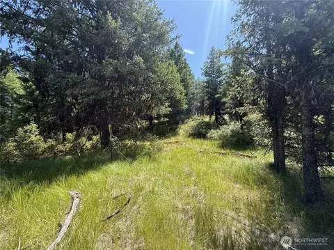 135 Slippery Hill Ln, Republic, WA 99166