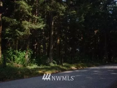 20113 Patterson Rd E, Orting, WA 98360 photo 1