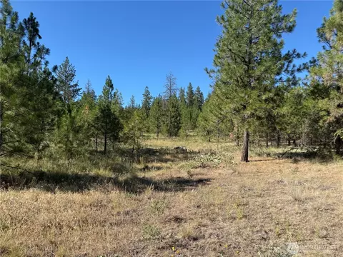 0 Tbd, Davenport, WA 99122