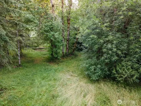 636 Nevil Rd, Winlock, WA 98596 photo 36