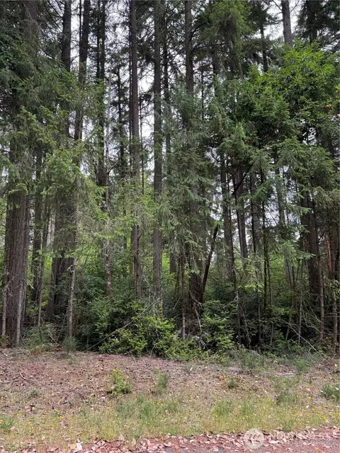 10419 Matthews Way, Anderson Island, WA 98303