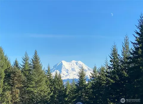 0 Nnn Roedomsky Rd E, Eatonville, WA 98328